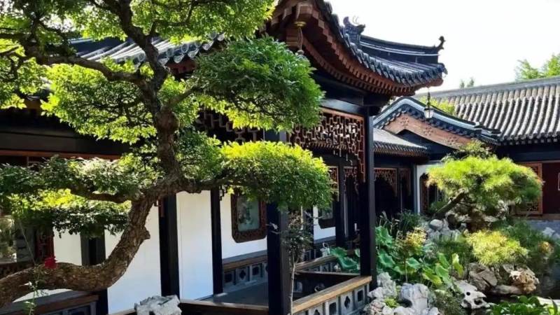 必一运动园林绿化智慧园林监测服务